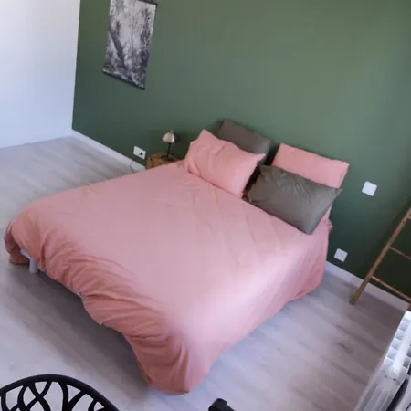 Maison Au Vieil A 200m De La *