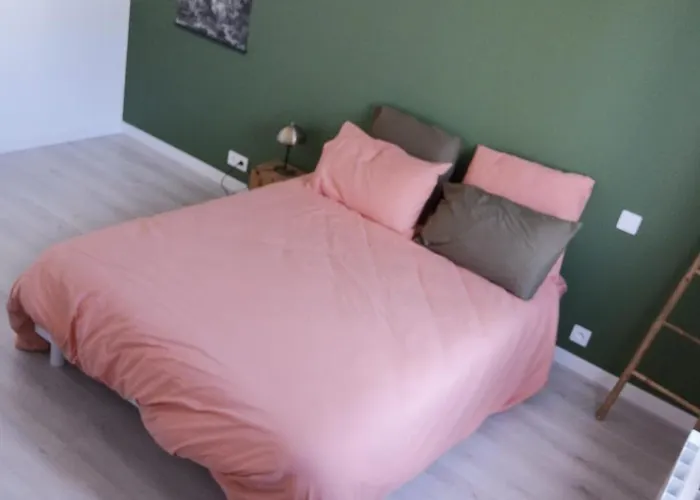 Maison Au Vieil A 200m De La *